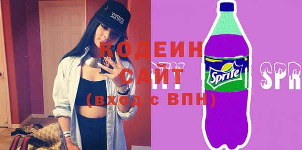 гашик Козловка
